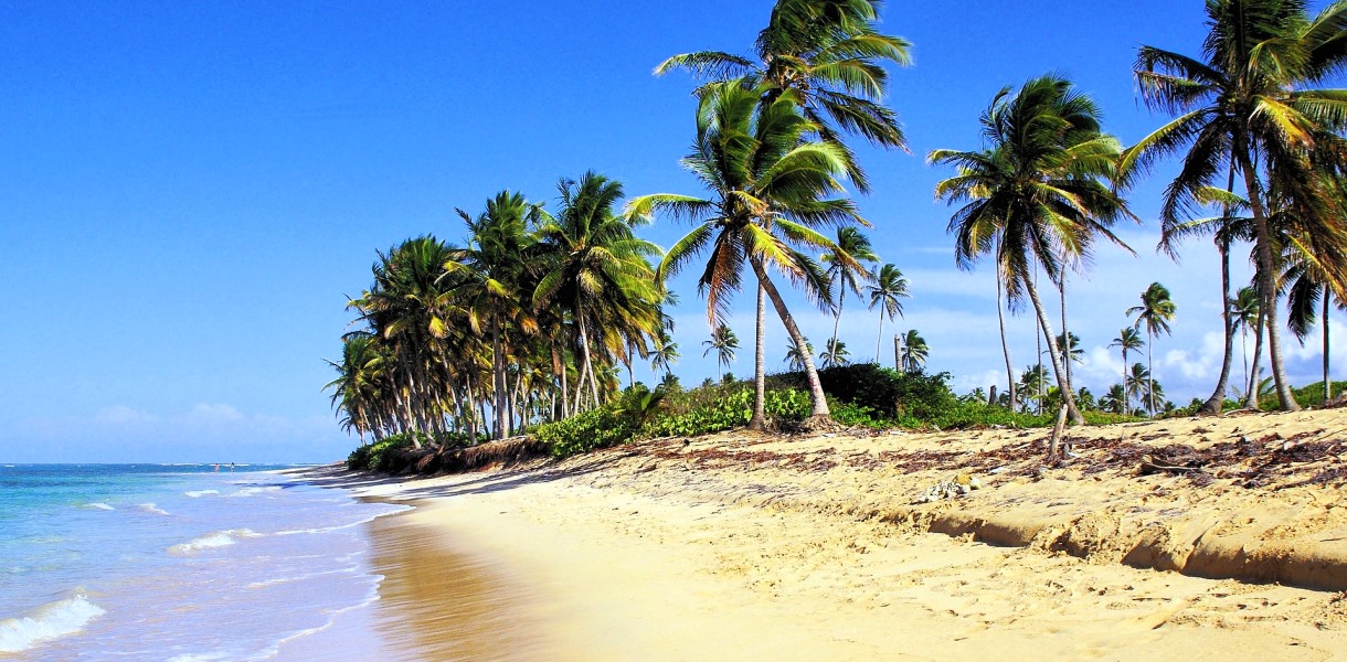 Punta Cana - חופי פונטה קאנה