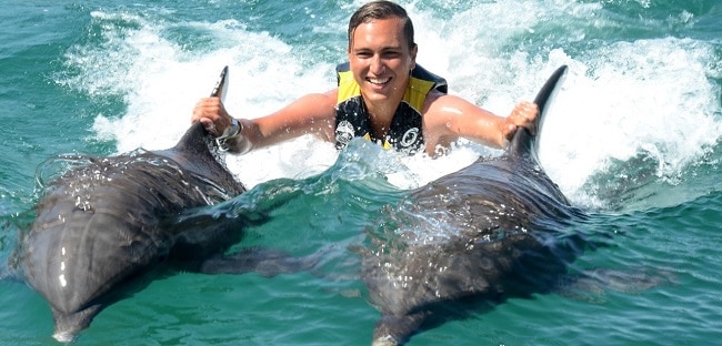 שחייה עם דולפינים